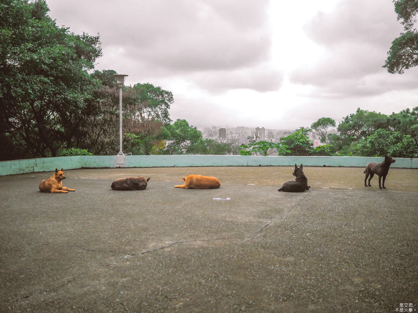 HUTOR-43.jpg HUTOR-43.jpg