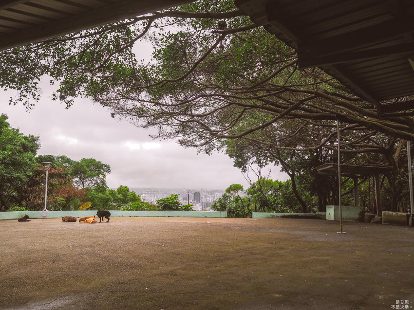 HUTOR-45.jpg HUTOR-45.jpg