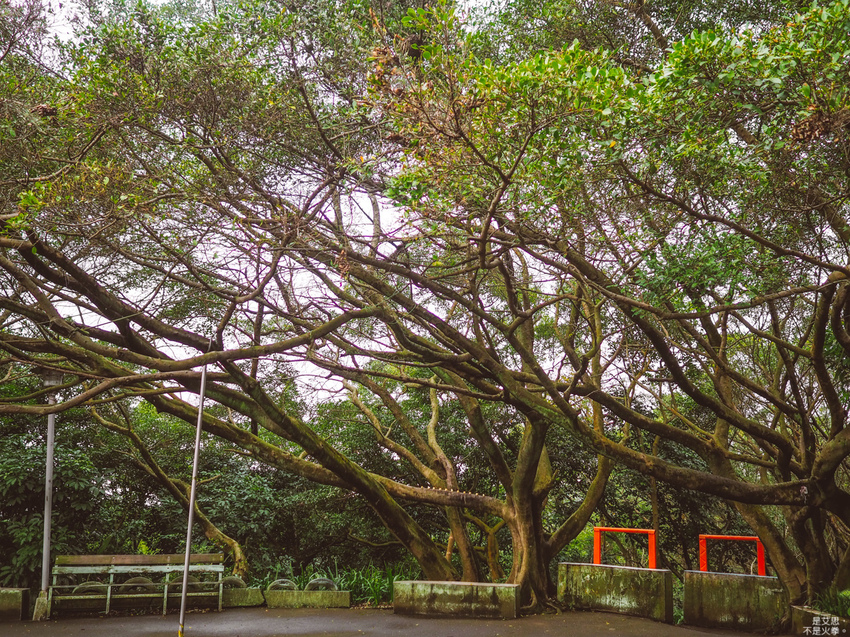 HUTOR-42.jpg HUTOR-42.jpg