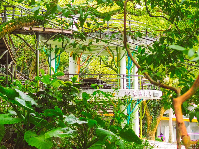 HUTOR-11.jpg HUTOR-11.jpg