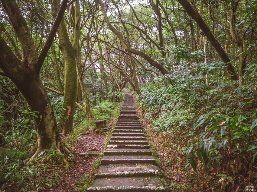 HUTOR-53.jpg HUTOR-53.jpg