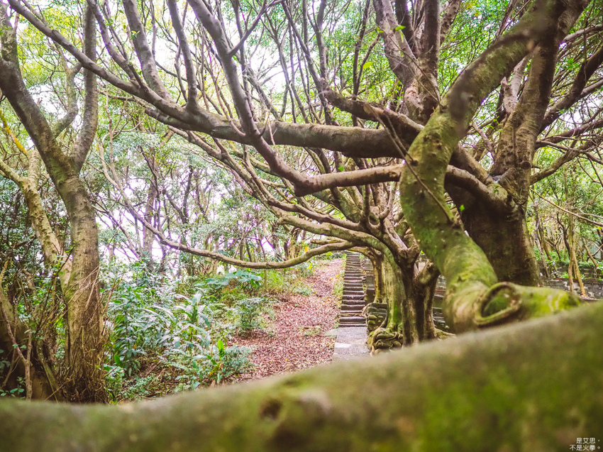 HUTOR-52.jpg HUTOR-52.jpg