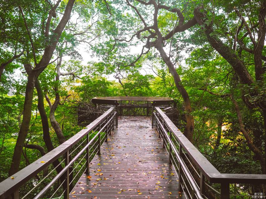 HUTOR-1.jpg HUTOR-1.jpg