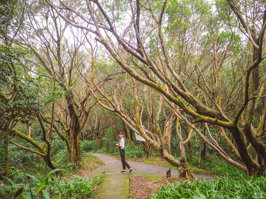 HUTOR-48.jpg HUTOR-48.jpg