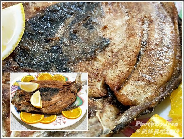 凱峰休閒農場：《基隆七堵休閒農場》主廚無菜單料理好手藝/餐酒茗茶/歌舞歡樂/聊天拍照上網/休閒好地方/2019.04.07再訪休閒的好地方『凱峰休閒農場』