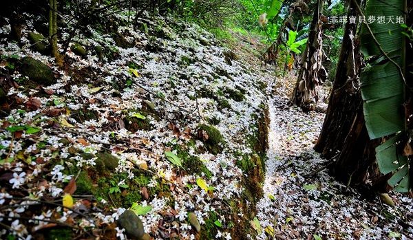 老公崎步道-22.JPG 老公崎步道-22.JPG