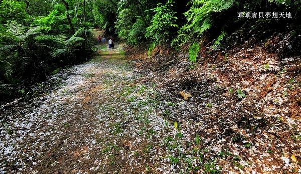 老公崎步道-11.JPG 老公崎步道-11.JPG