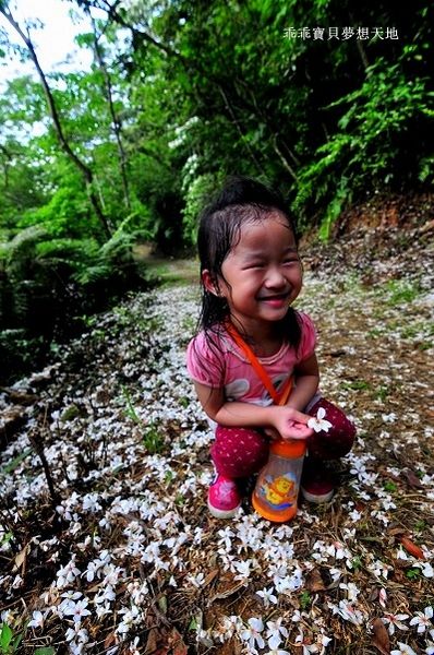 老公崎步道-17.JPG 老公崎步道-17.JPG