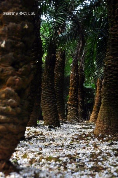 老公崎步道-23.JPG 老公崎步道-23.JPG