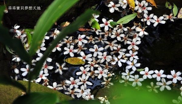 老公崎步道-26.JPG 老公崎步道-26.JPG