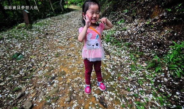 老公崎步道-15.JPG 老公崎步道-15.JPG