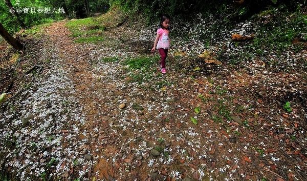 老公崎步道-20.JPG 老公崎步道-20.JPG