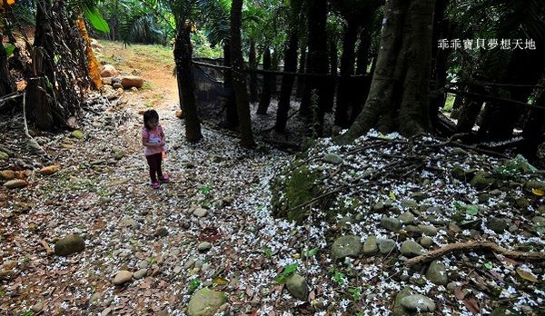 老公崎步道-21.JPG 老公崎步道-21.JPG