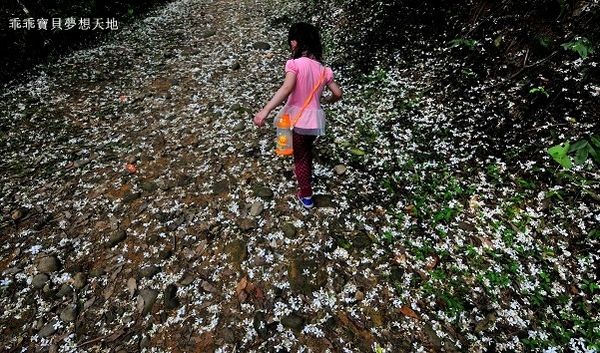 老公崎步道-14.JPG 老公崎步道-14.JPG