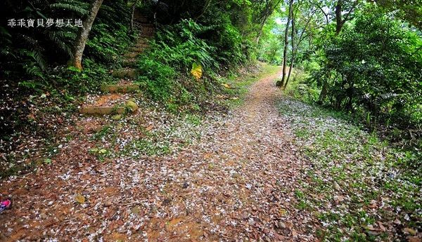 老公崎步道-19.JPG 老公崎步道-19.JPG