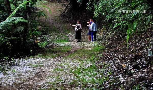 老公崎步道-9.JPG 老公崎步道-9.JPG