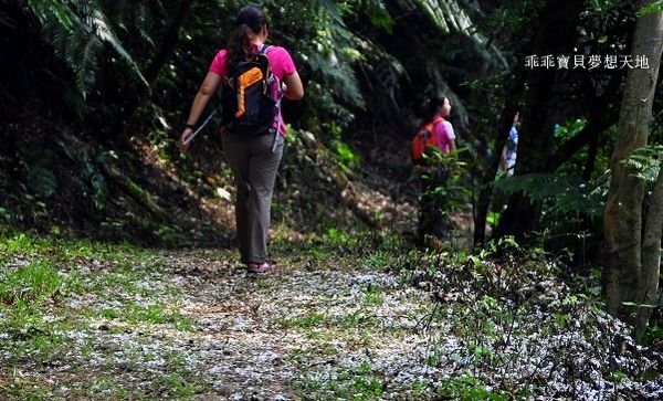 老公崎步道-8.JPG 老公崎步道-8.JPG