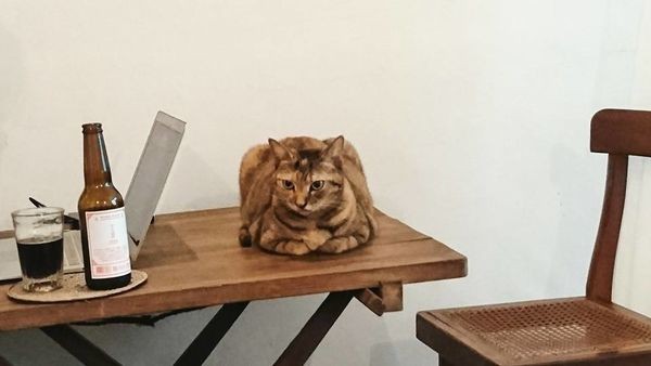 37789542_1976933849004961_9108778684445097984_n