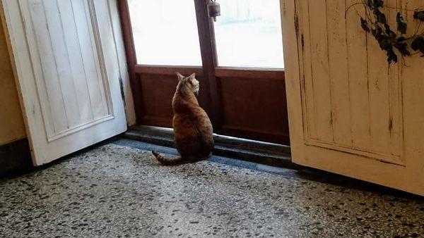 48412629_2198755690156108_6024917515090526208_n