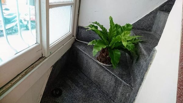 48950270_2198755750156102_6931722253876854784_n