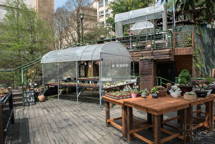 桃園景點【左岸森林多肉植物咖啡館】