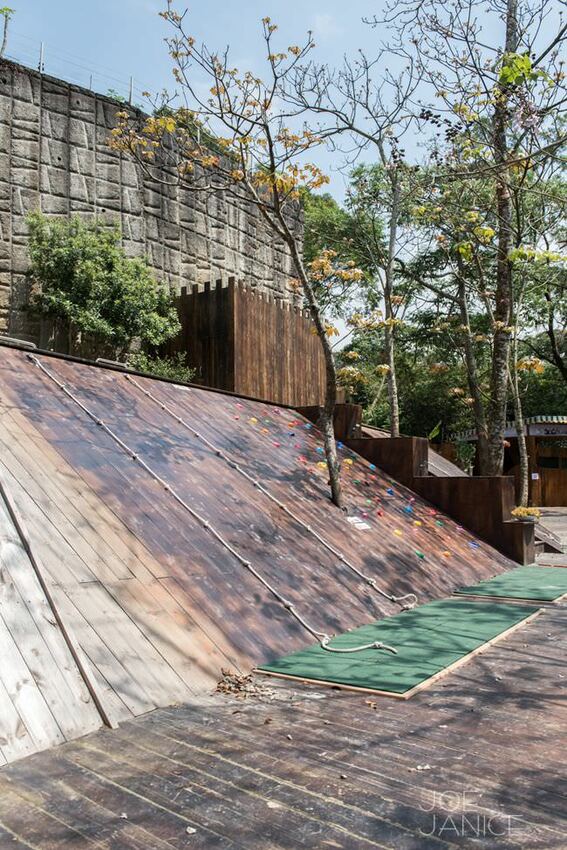 桃園景點【左岸森林多肉植物咖啡館】