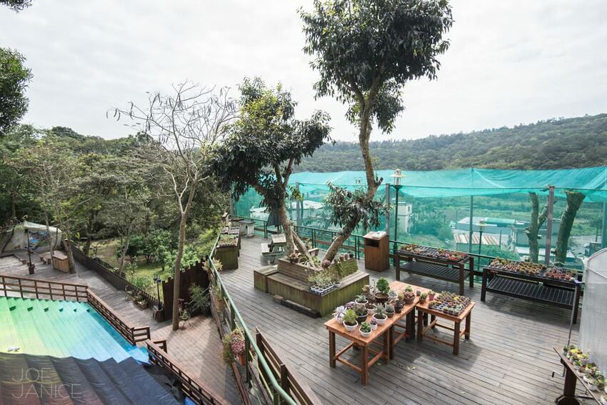 桃園景點【左岸森林多肉植物咖啡館】