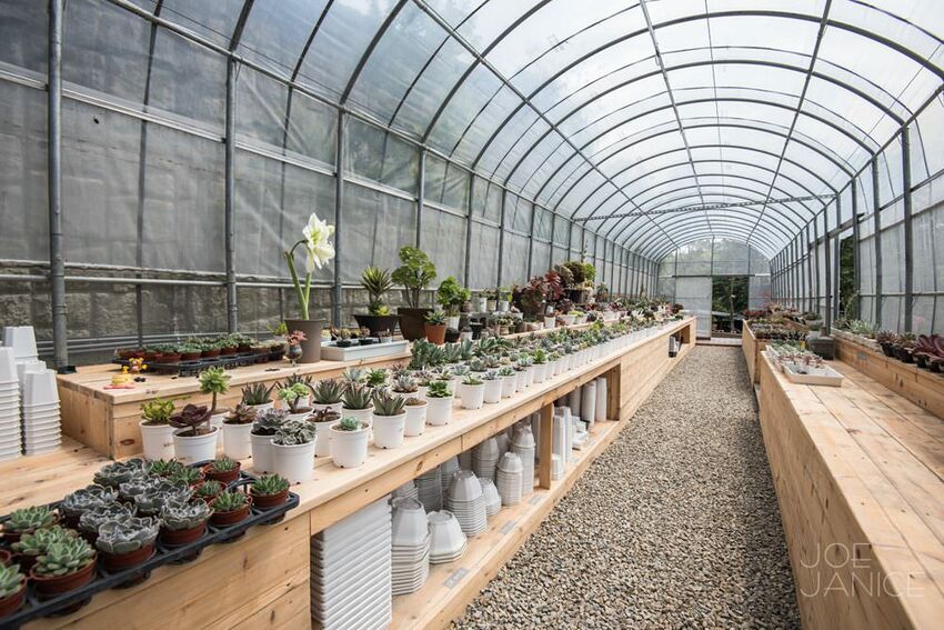 桃園景點【左岸森林多肉植物咖啡館】