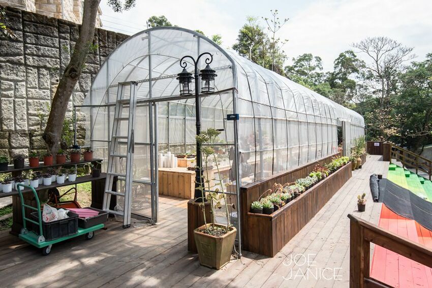 桃園景點【左岸森林多肉植物咖啡館】