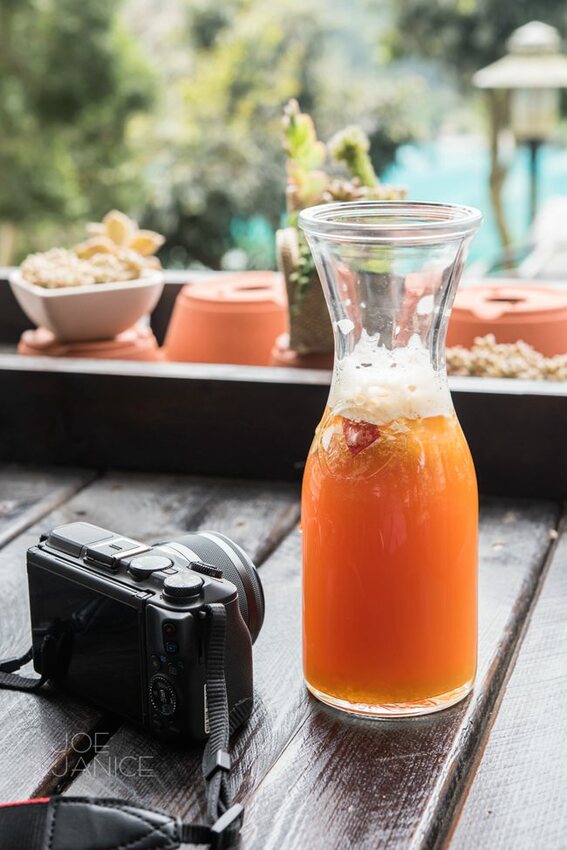 桃園景點【左岸森林多肉植物咖啡館】