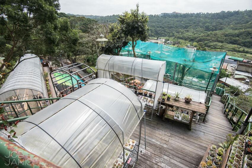 桃園景點【左岸森林多肉植物咖啡館】