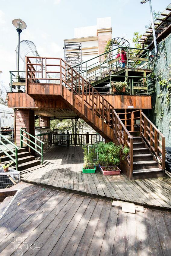 桃園景點【左岸森林多肉植物咖啡館】