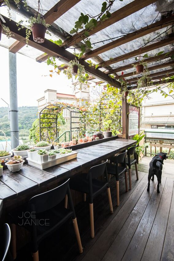 桃園景點【左岸森林多肉植物咖啡館】