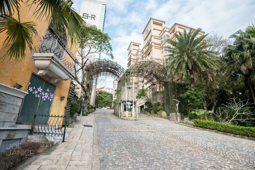 桃園景點【左岸森林多肉植物咖啡館】