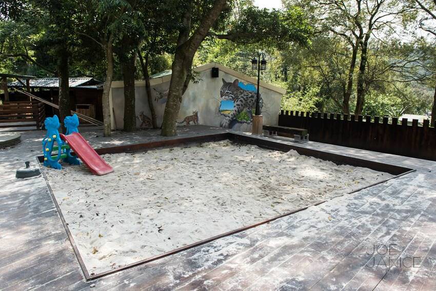 桃園景點【左岸森林多肉植物咖啡館】