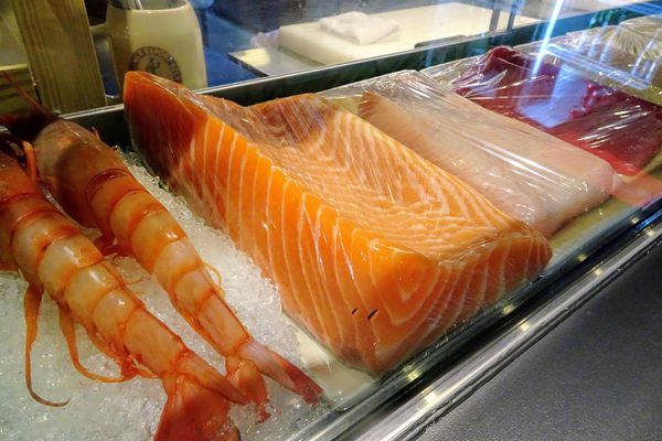 DSC04768.jpg DSC04768.jpg