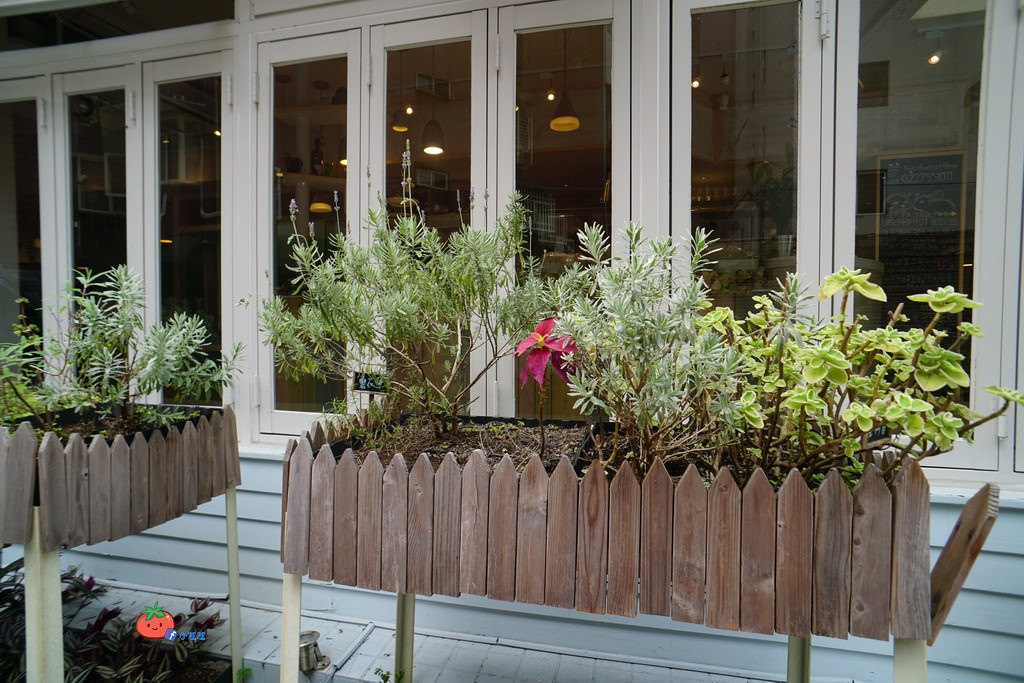 【大安區美食】F&F 仁愛•輕概念食飲 國泰醫院旁 近信義安和站