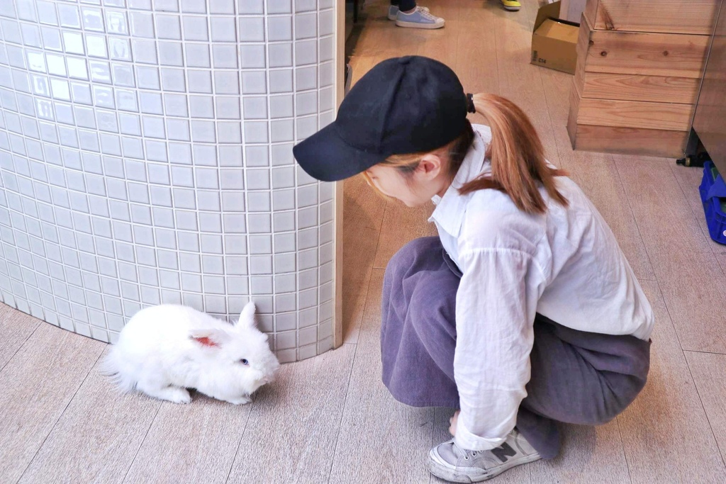 F&F仁愛.輕概念食飲/FIVE & FANTAST RENAI DINING IDEAS F&F仁愛.輕概念食飲/FIVE & FANTAST RENAI DINING IDEAS