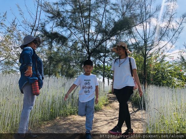 狀圍沙丘_191118_0058.jpg 狀圍沙丘_191118_0058.jpg