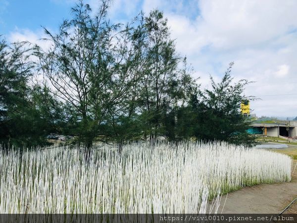 狀圍沙丘_191118_0028.jpg 狀圍沙丘_191118_0028.jpg