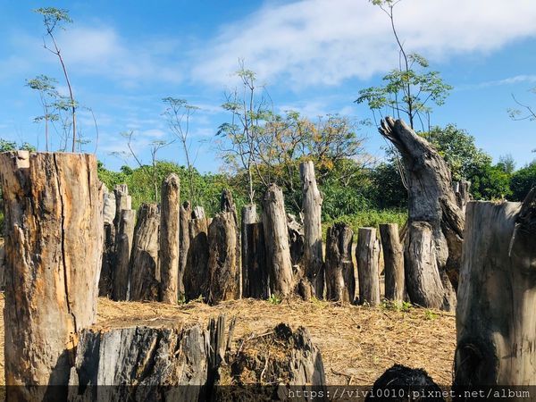 狀圍沙丘_191118_0043.jpg 狀圍沙丘_191118_0043.jpg