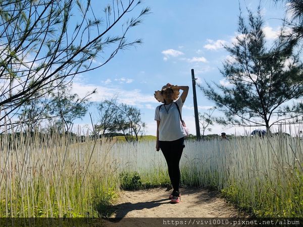 狀圍沙丘_191118_0060.jpg 狀圍沙丘_191118_0060.jpg