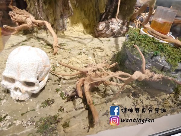 【南港車站美食】雲豪斯 WiNHOUSE 無國界創意料理 親子友善餐廳 (4).JPG