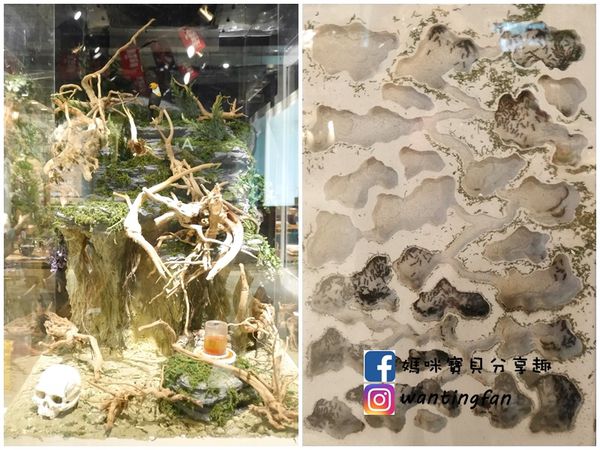 【南港車站美食】雲豪斯 WiNHOUSE 無國界創意料理 親子友善餐廳 (3).jpg