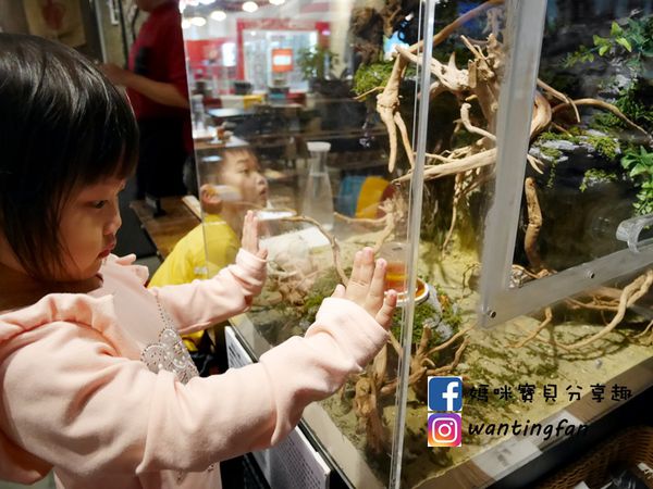 【南港車站美食】雲豪斯 WiNHOUSE 無國界創意料理 親子友善餐廳 (28).JPG