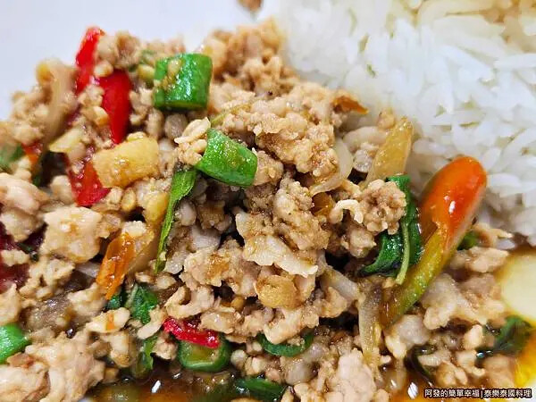 泰樂泰國料理09-打拋豬肉飯特寫.jpg
