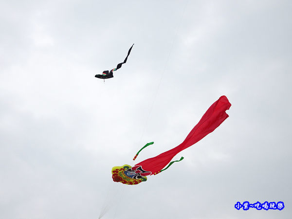 新竹南寮漁港 (5).jpg