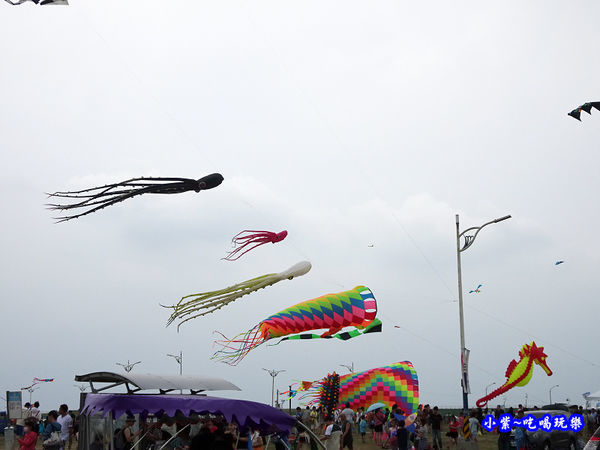 新竹南寮漁港 (4).jpg