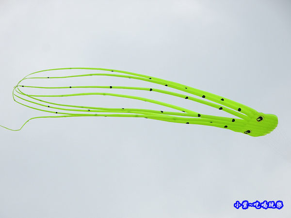 新竹南寮漁港 (3).jpg