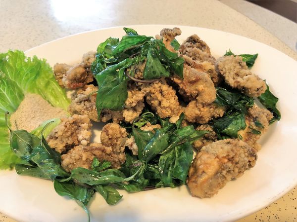 ●嘉義食記●梅中園川菜/大雅路/烤鴨多吃必點/家庭聚餐超值合菜